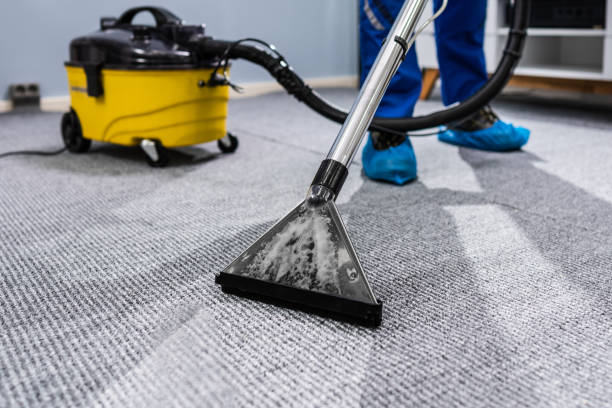 A professional vacuum leaving a bright, clean stripe across a carpet, showing the before and after difference