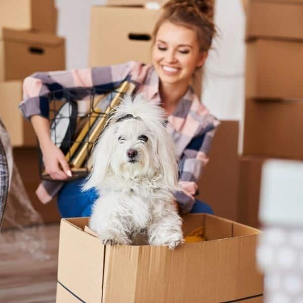 Moving boxes in a home being cleaned